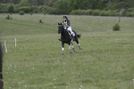 BVHT 140517  IXC -879