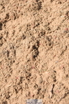 230906A-135606-00527