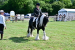 SBM_09340