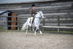 SBM_006484