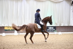 SBM_009123