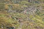 Peris Horseshoe-148