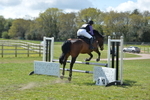 NGP_8080
