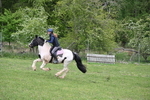 WJ6_3477