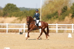 SBM_017540