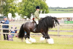 SBM_06134