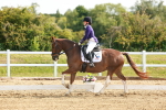 SBM_007635