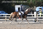 BPP_8821