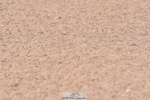 230720A-093534-01424