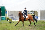 392-Erin_Downie-DASSETT_CHANCE portfolio