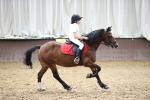 SBM_000638