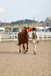 SBM_08616