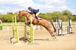 SBM_001637