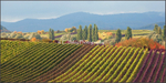Autumn Vines 1