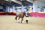 SBM_00462