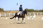 SBM_013238