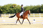 SBM_008355