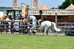 SBM_15303