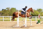 SBM_001451