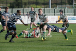 Guernsey v Westcombe Park-49