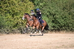 WJ6_7541