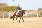 SBM_010348