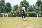 WJ6_6832