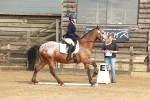 SBM_000193