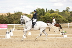 SBM_009545