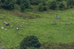 Arnison Crag-13