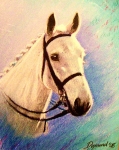 Portrait1
