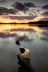 1 in 52 Project 2020 portfolio