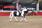 SBM_10593