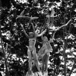 uplifted [b&w]