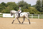 SBM_002049