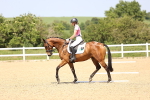 SBM_009155