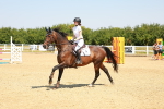 SBM_000780