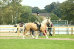 SBM_62641