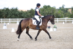 SBM_015334