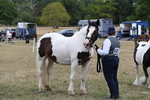 WJ6_5795