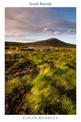 A breezy evening looking towards South Barrule over the moorlands.