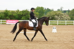 SBM_005354