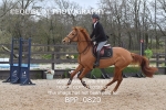 BPP_0820