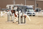 SBM_007064