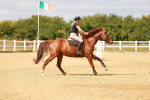SBM_007122
