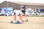 SBM_002975