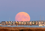 Moonrise over the beack huts - D75_2906