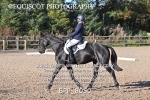 BPP_8050