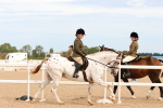 SBM_18198