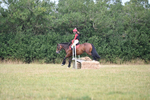 WJ6_1529